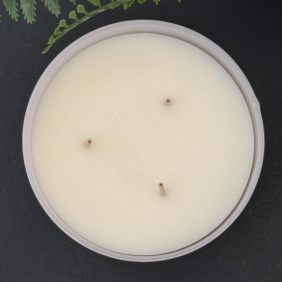 BBW Snowflakes & Cashmere White Barn Bath & Body Works 3 Wick Candle - Picture 7 of 10